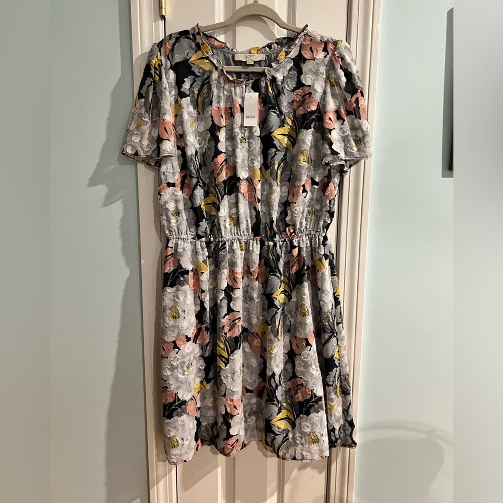 Beautiful Loft Plus short sleeved skater dress